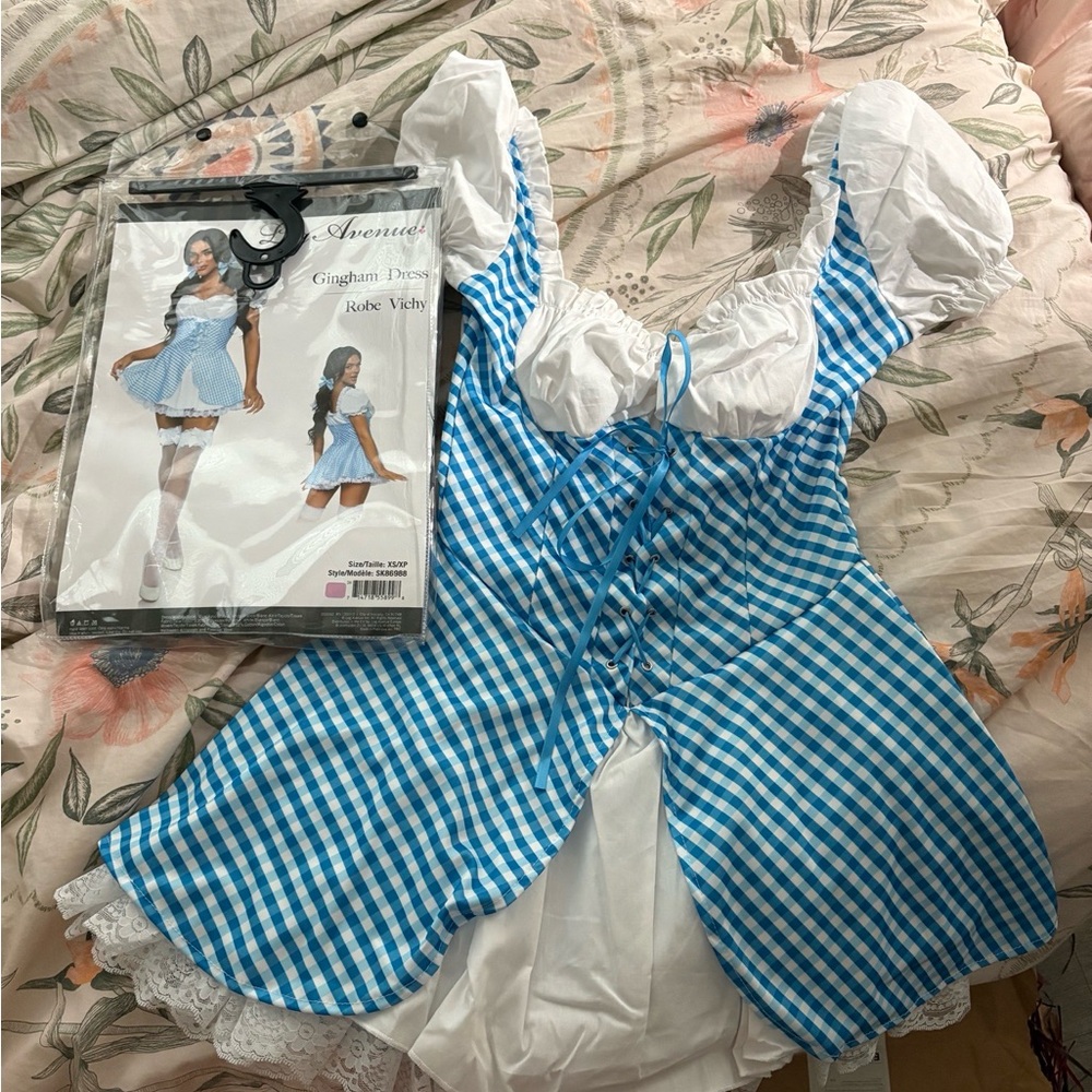 Leg Avenue Dorothy costume gingham dress